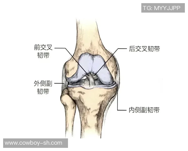 运动损伤的预防与康复方法探讨及常见案例分析